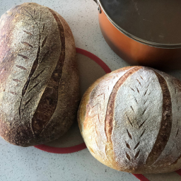 Artisan Sourdough Boule from Boise